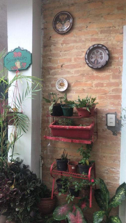 La Petite Maison De Diana Asuncion Exterior foto