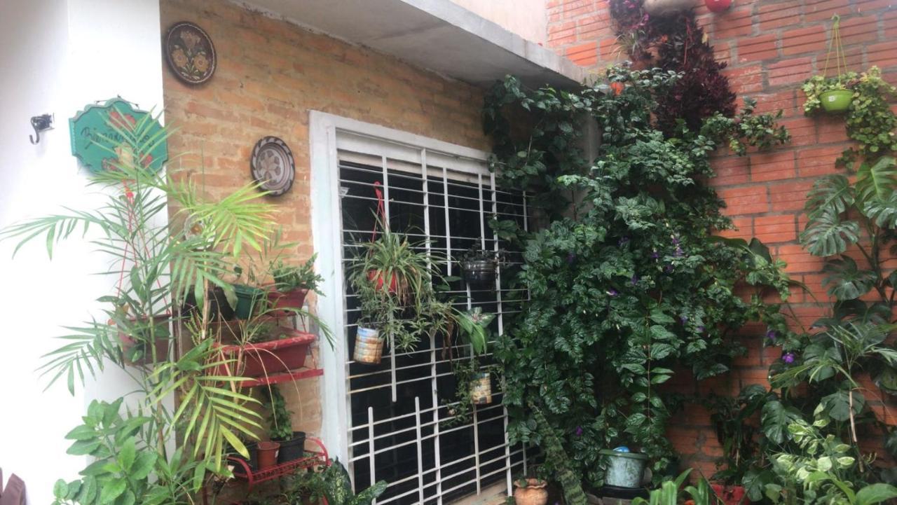 La Petite Maison De Diana Asuncion Exterior foto