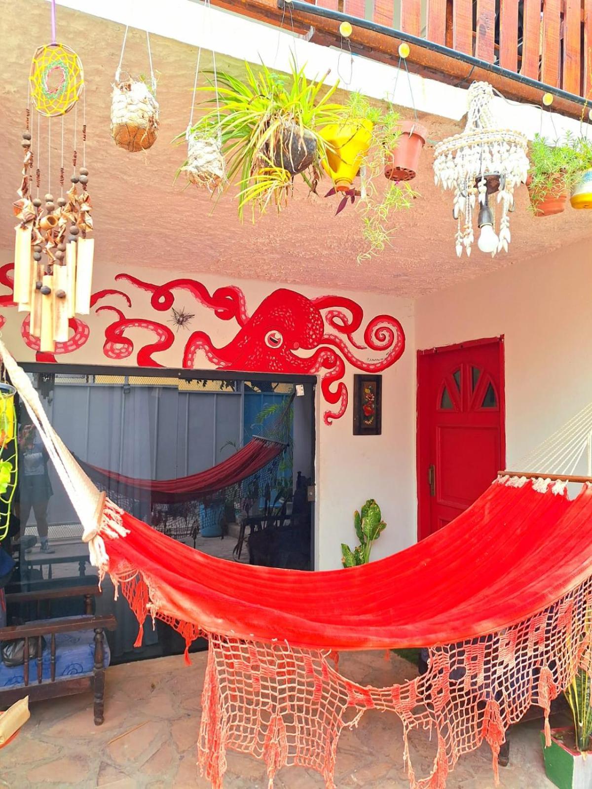 La Petite Maison De Diana Asuncion Exterior foto